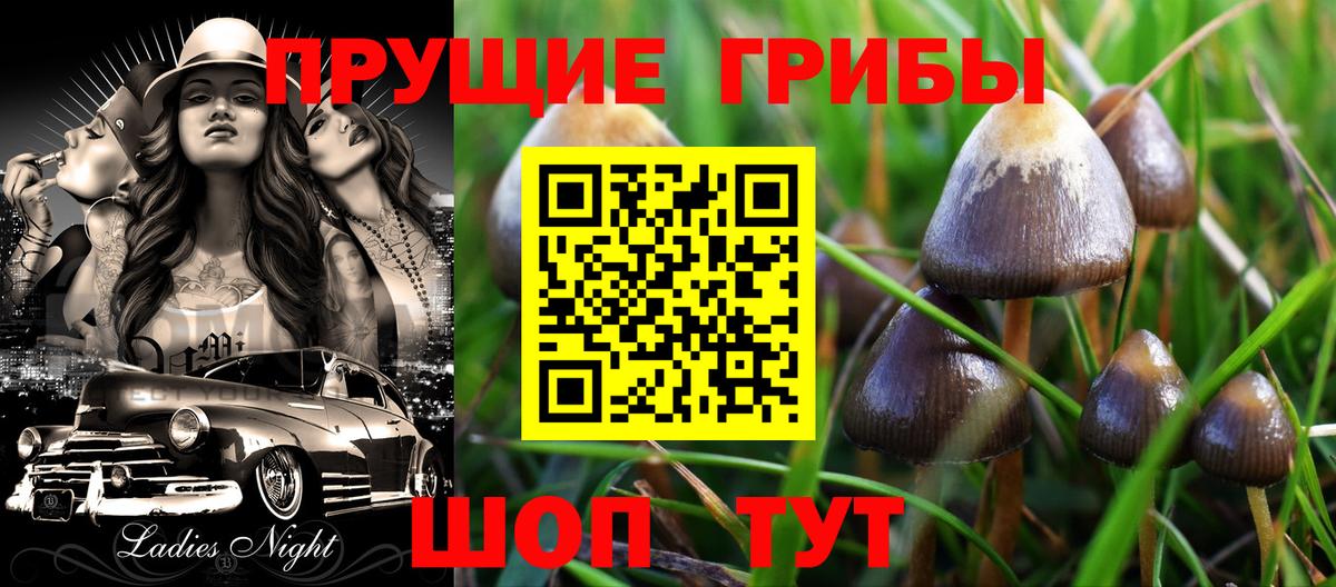 продажа наркотиков  Вход с VPN  Галлюциногенные грибы Magic Shrooms  Чехов  Галлюциногенные грибы прущие грибы 