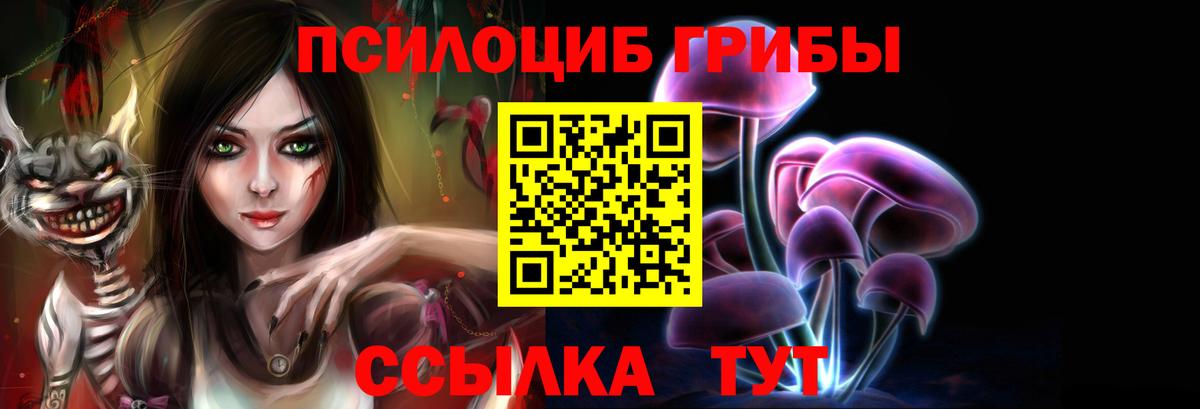 Галлюциногенные грибы Cubensis Чехов